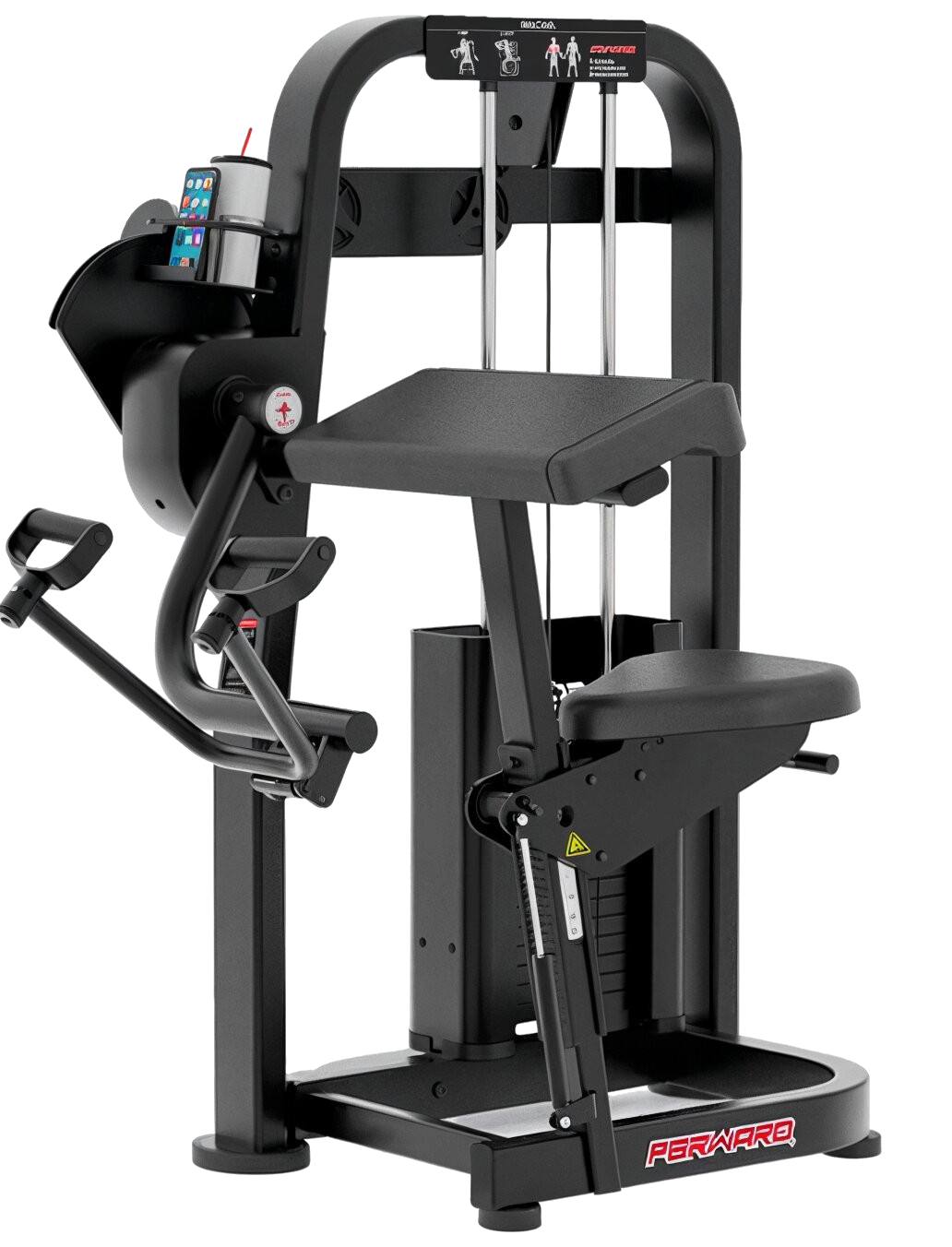 FWS-006_Arm Curl