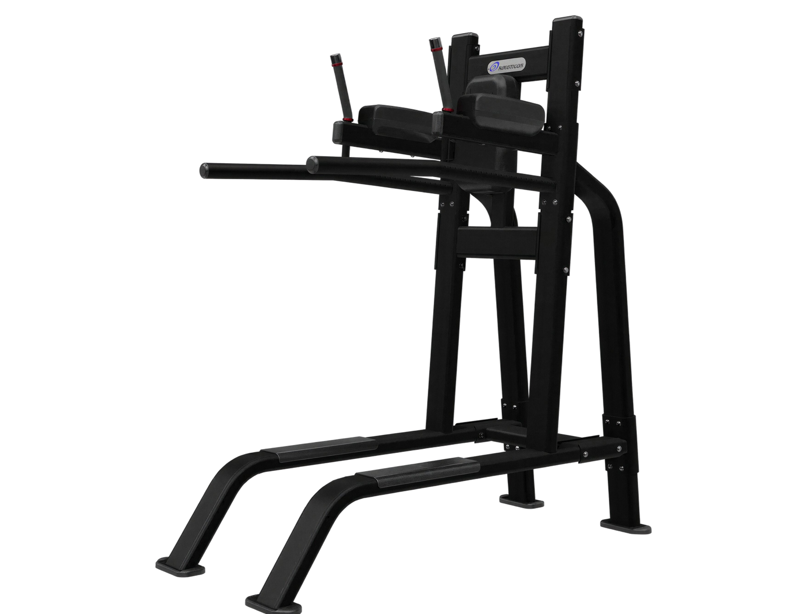 Leg Raise/Dip Model 9NP-B7517