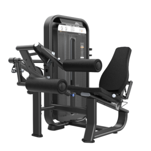 Seated Leg Curl E7023