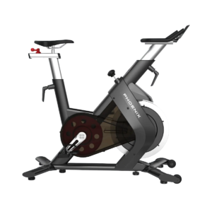 Indoor Cycling Bike S210
