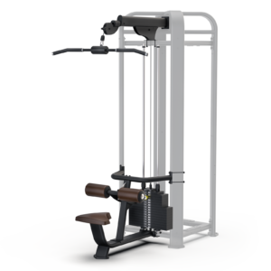 Lat Pulldown CMS—T4—LP