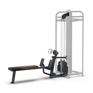 Seated Row CMS—T4—SR