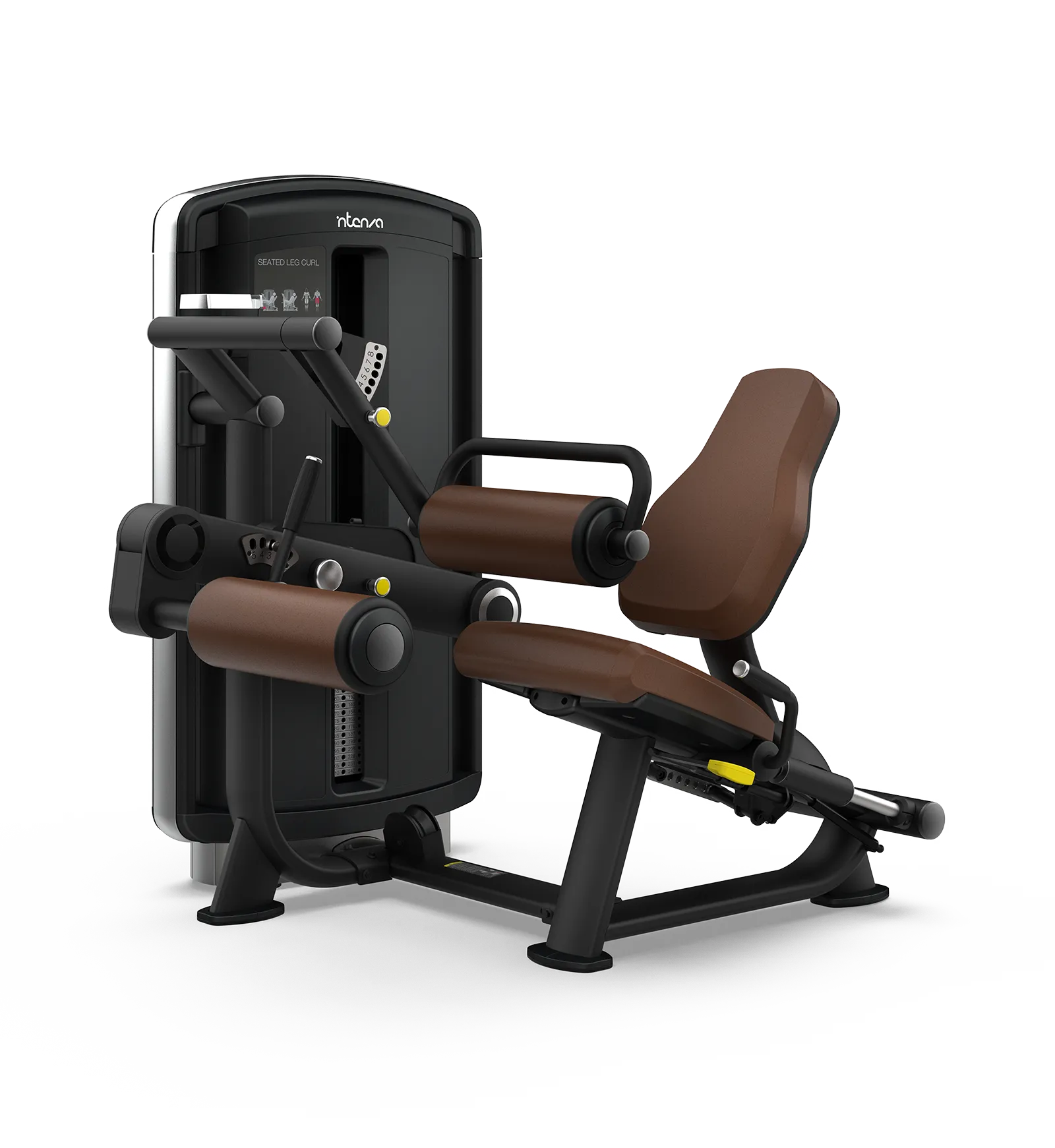 Seated Leg Curl