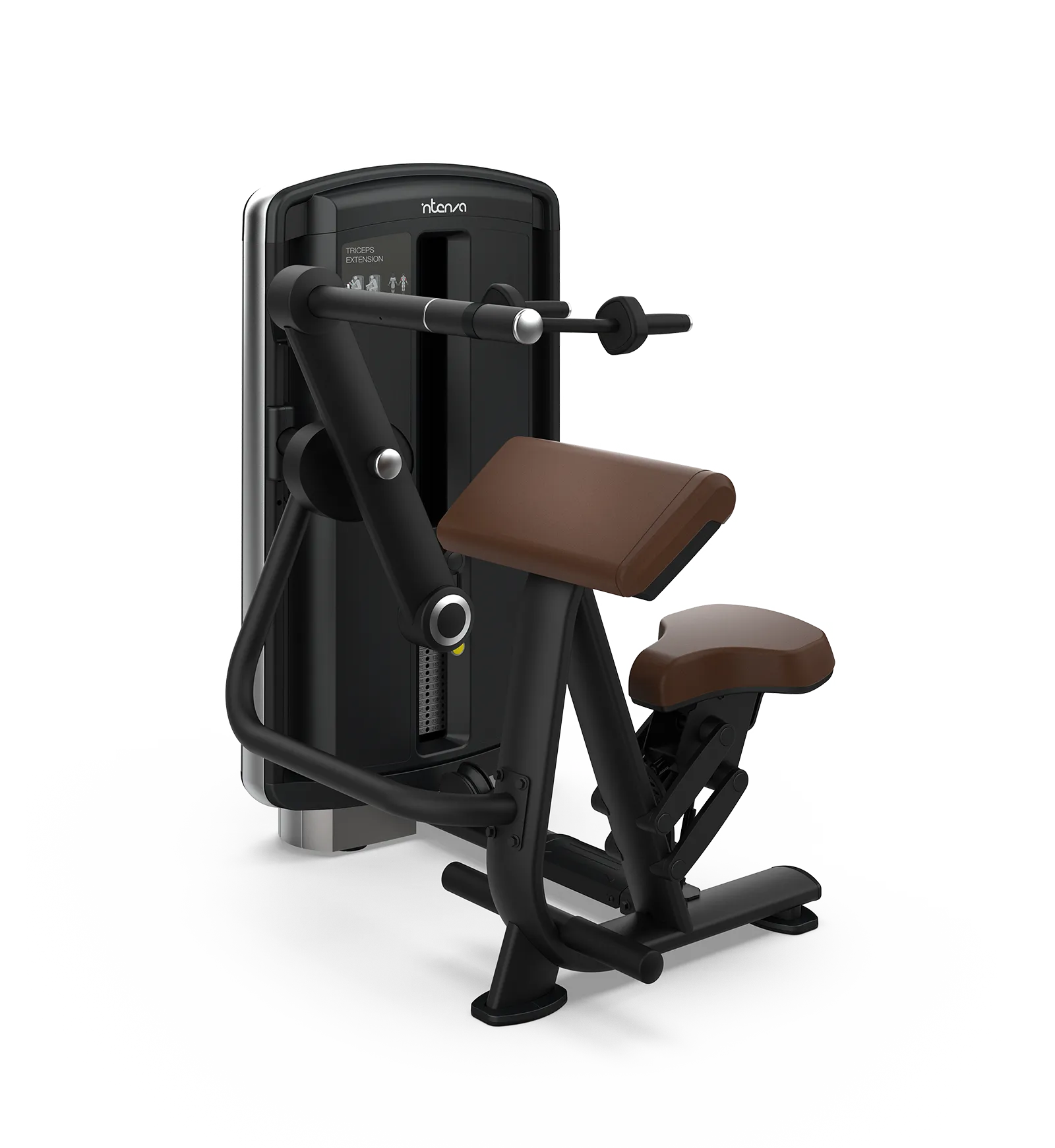Triceps Extension