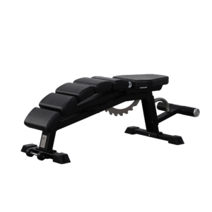 Adjustable Decline Bench Curved