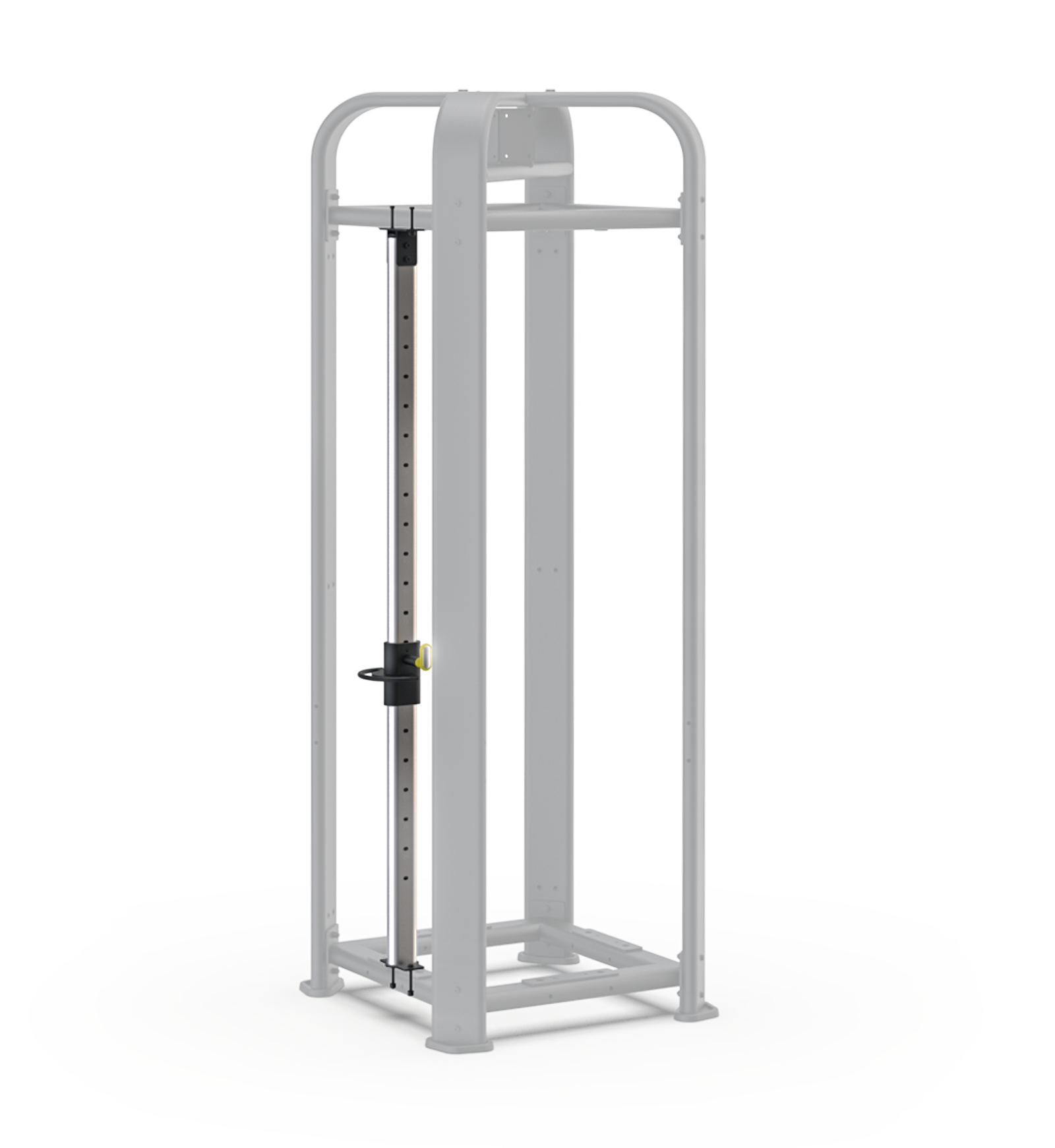 Functional Training CMS—T4—FT