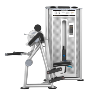 Camber Curl&Triceps U2087