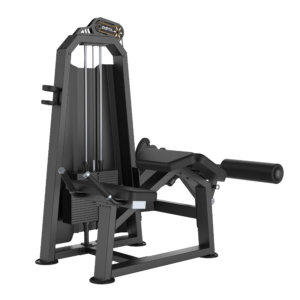 Prone Leg Curl U3001T