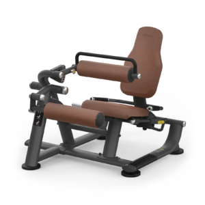 Seated Leg Curl ZL—09
