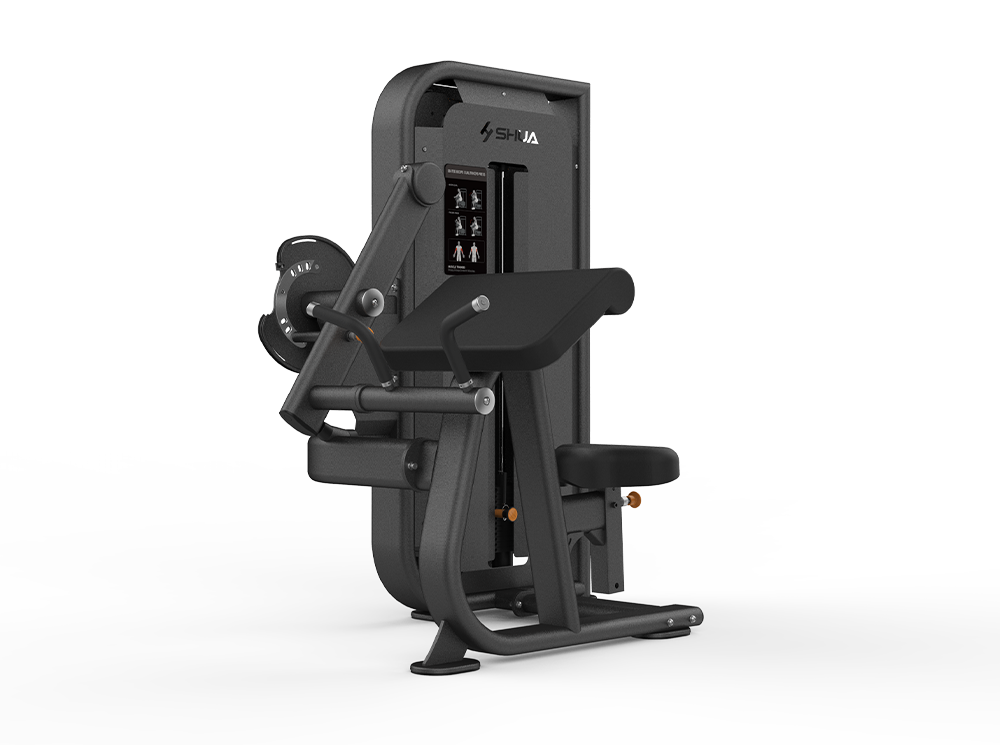 Seated Biceps Curl/Triceps Press SH-G6822