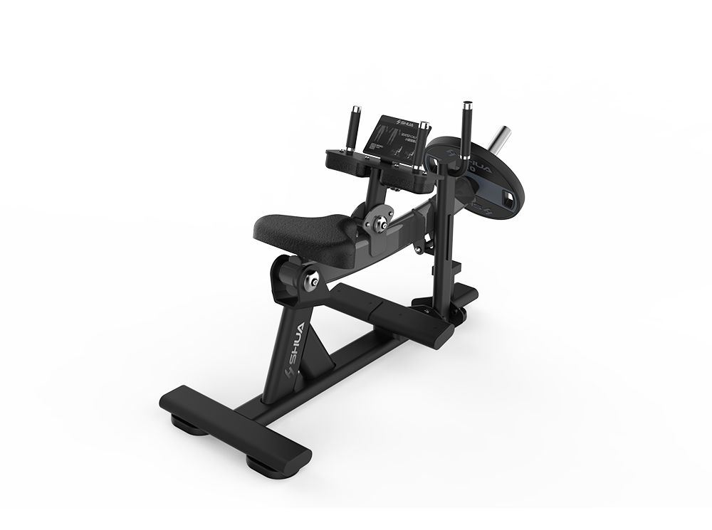 Seated Calf Raise SH-G6910