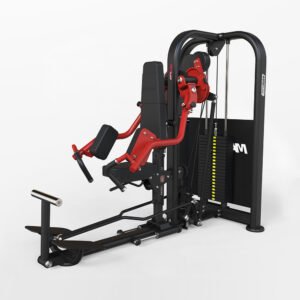 Iso Lateral Raise