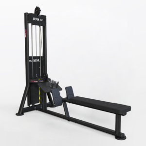 Classic Seated Cable Row