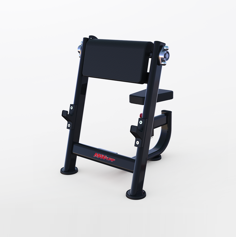 Preacher Curl Bench