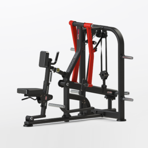 Seated ISO Low Row